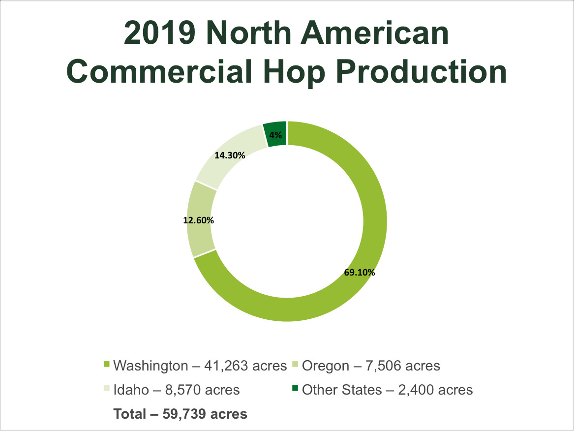 2019 North American Hop Production Graph